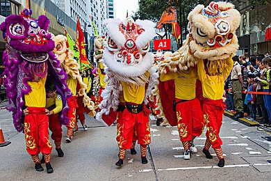 免费一区：梦幻奇境：零门槛畅游，新体验狂欢盛宴-5