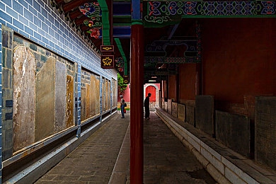 博士周莹王伟忠回乡祭祖：寻根之旅：传承家国情怀，弘扬传统文化之旅-5
