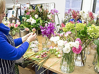 芭乐丝瓜菠萝向日葵鸭脖：探索奇味组合：芭乐丝瓜菠萝鸭脖，跨界融合演绎美食新风尚-5