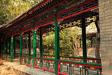 夜晚十大禁用软件：夜间宁静守护：揭秘十大夜晚禁用软件，助你享受美好睡眠时光-4