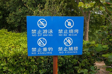 男人与女人差差APP：数字镜鉴，性别差异共话和谐之旅-4