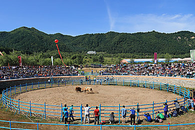 WW丶久久：畅游游戏海洋，尽享“久”乐时光-3