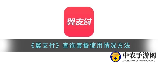 《翼支付》查询套餐使用情况方法
