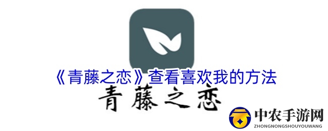 《青藤之恋》查看喜欢我的方法